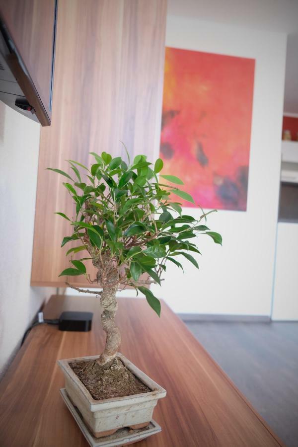 Apartment Von Betzenstein Markkleeberg Eksteriør bilde